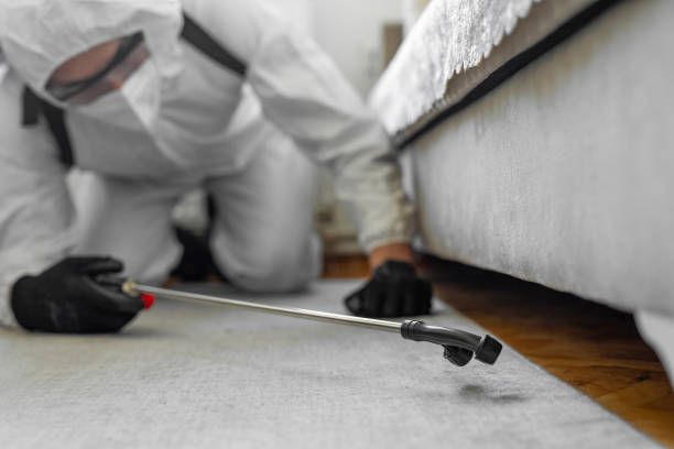 Professional Pest Control technician working in Clark County County, WI